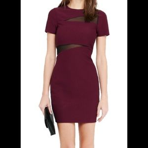 EXPRESS Mesh Sliced Short Sleeve Mini Dress